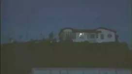 کرم بلوند بوست و دان ...