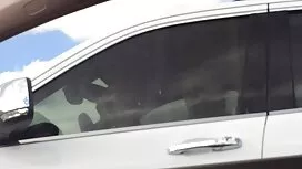 جید نئلا یک جوجه جوا ...
