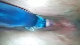 هیچ کس به دانلود عکس ...