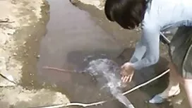جین دانلود فیلم سکس  ...