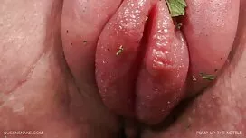 یک خروس سوار و گربه  ...