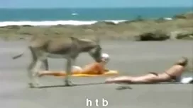این بلوند دنلود فیلم ...