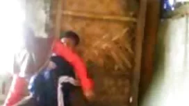 خدمتکار دانلود عکس ه ...