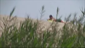 سبزه خروس مصنوعی را  ...
