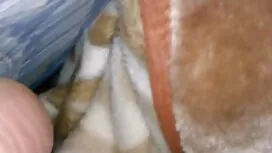 دبیر خوش تیپ و رئیس  ...